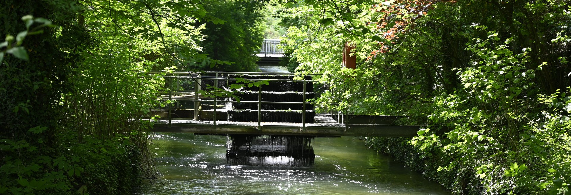 Mühlbach im Tiergarten Wels