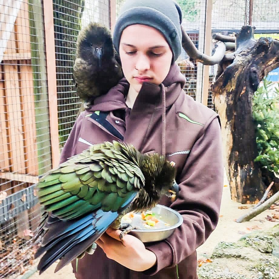 Tierpfleger Lehrling bei der Arbeit
